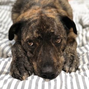 Meet your Posher, Matthew